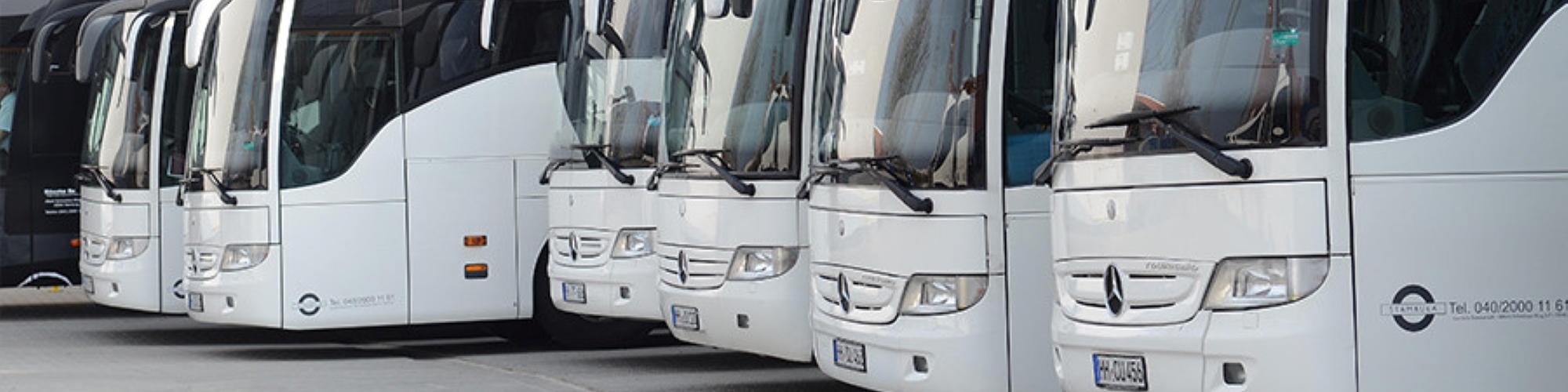 Stambula Bustouristik GmbH