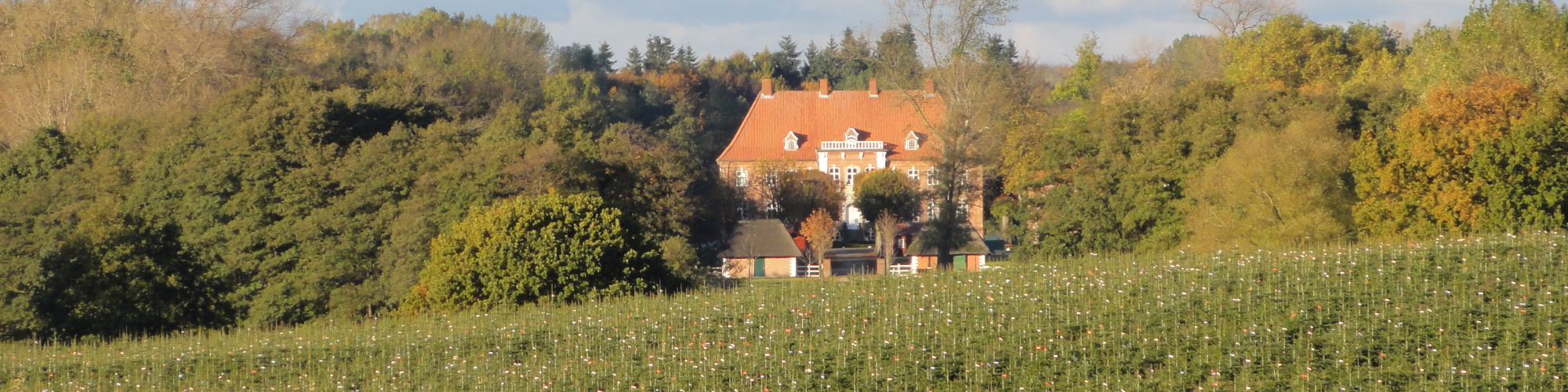 Gutsverwaltung Dobersdorf